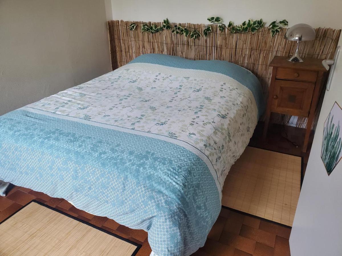 شقة Dolphin'S House أفينيون المظهر الخارجي الصورة